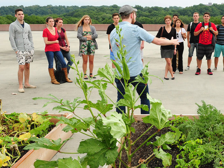 Students and faculty on the rooftop garden at Manhattan College. 