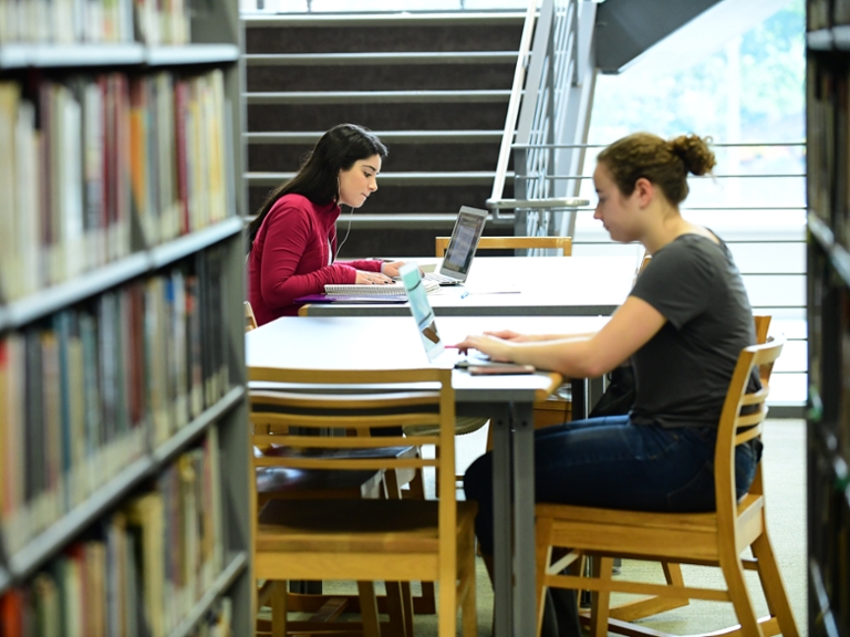 Students studying in library. 