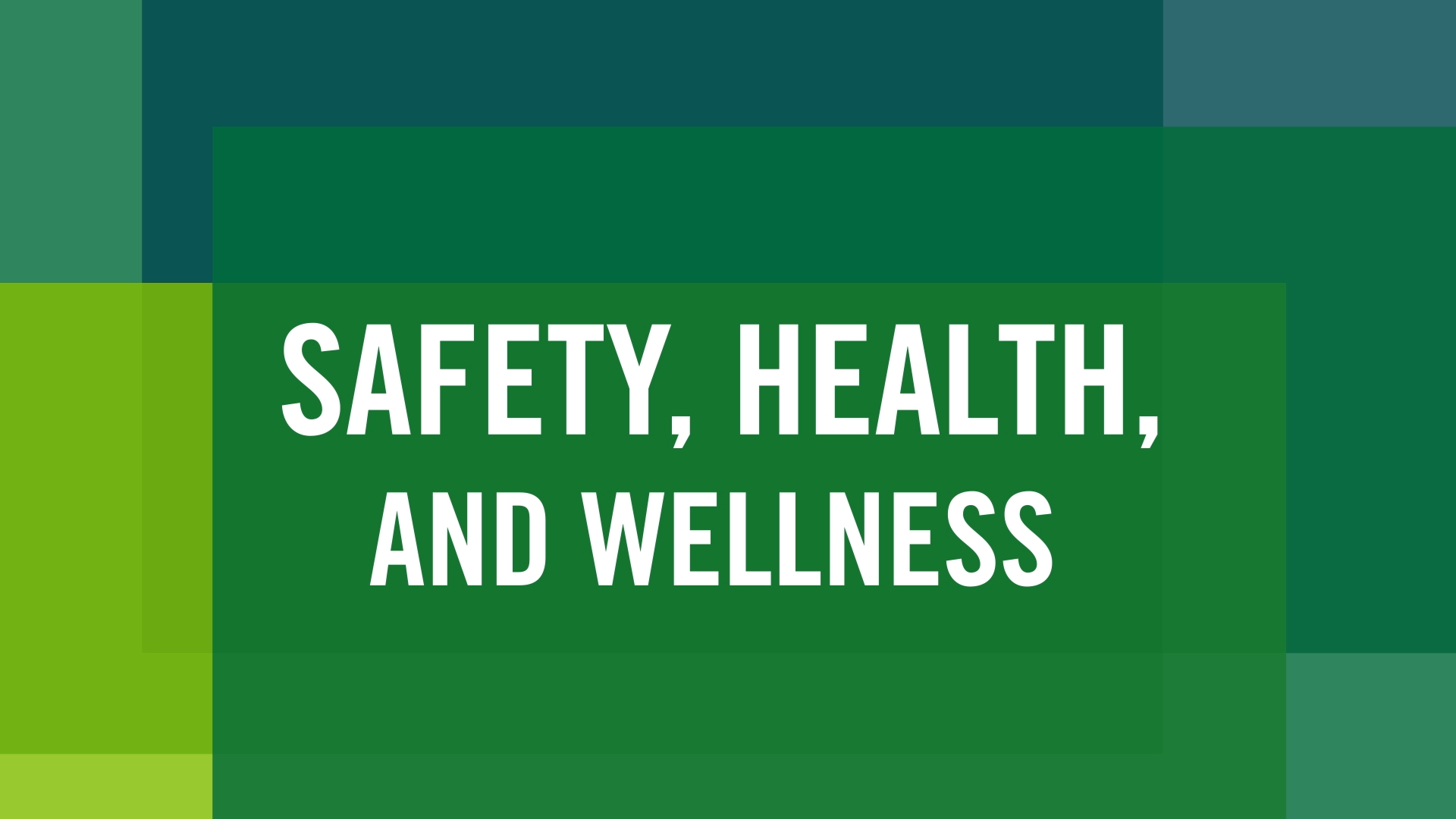safety, health and wellness at Manhattan College