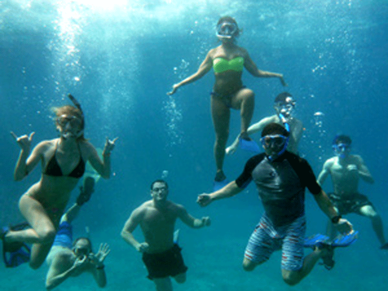 Students snorkeling