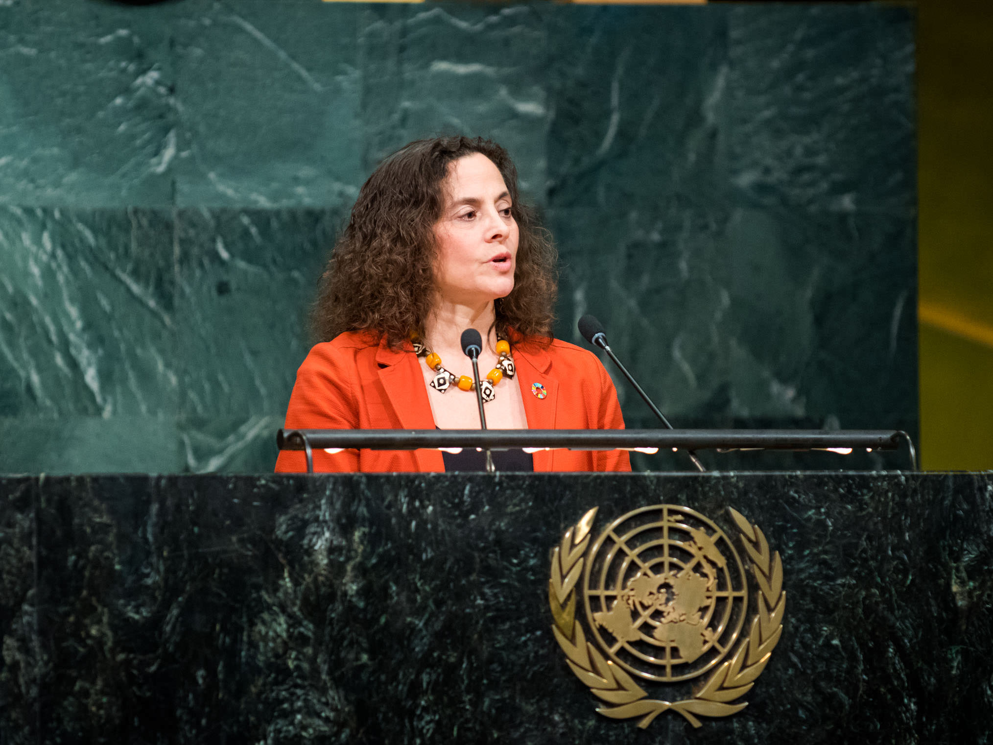 Pamela Chasek at the United Nations