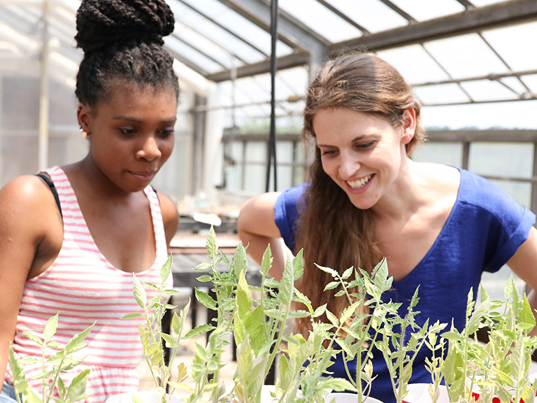 Student and faculty doing research in rooftop garden