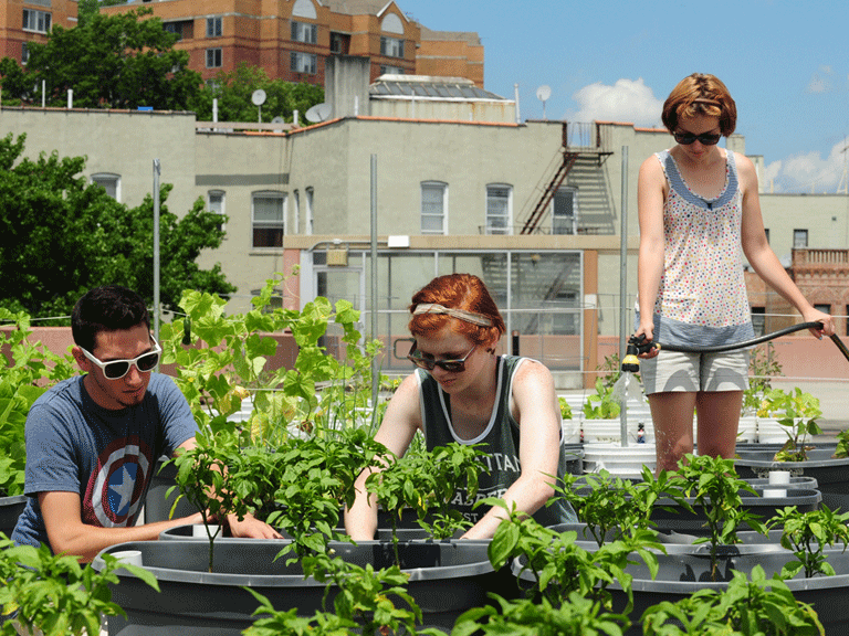 Students at rooftop garden on parking lot top level.