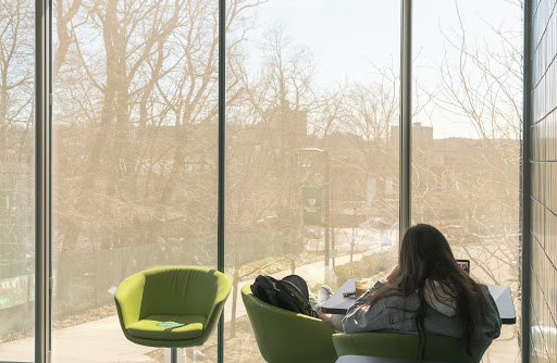Student sitting in front of a clear window with the sun shining, studying